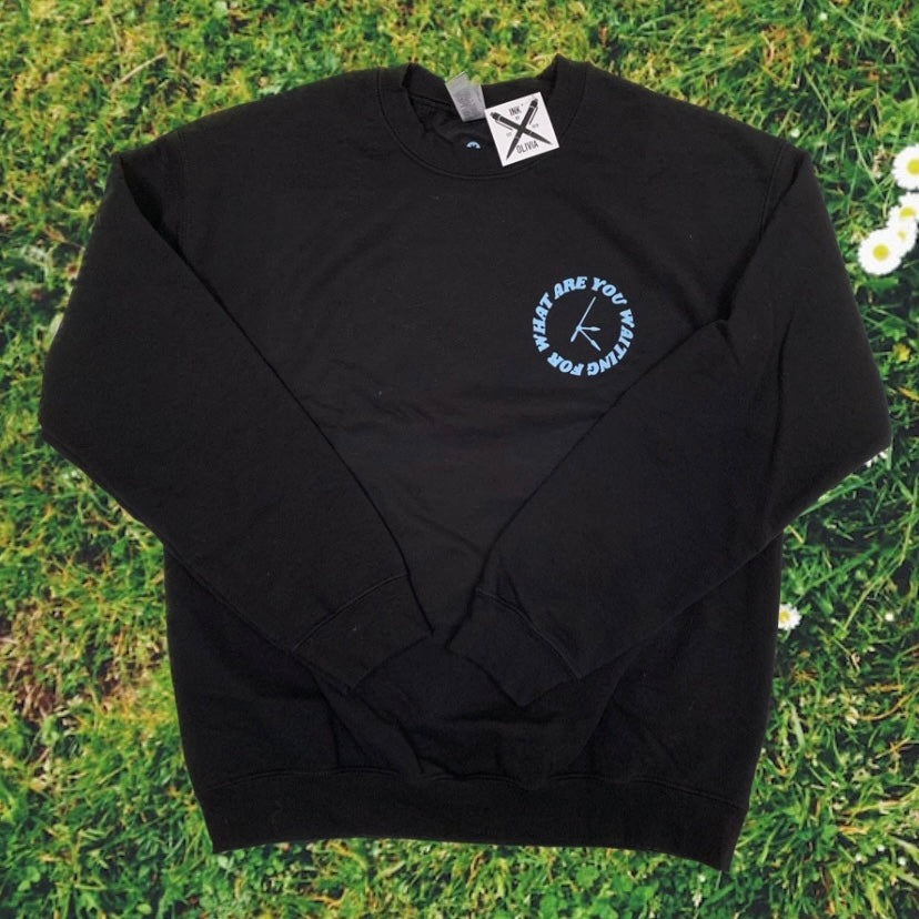 World in your Hands Sweatshirt