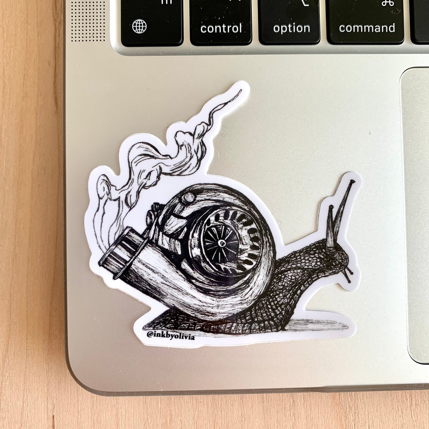 Turbo Snail