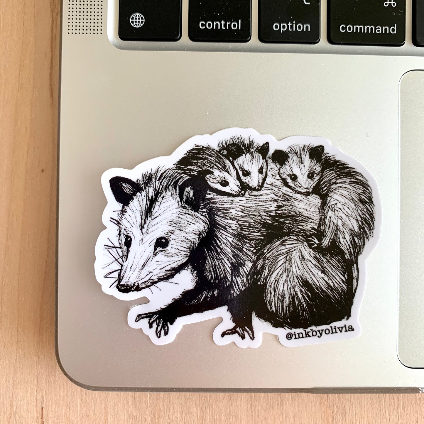 Adorable possum family, featuring a parent possum with their babies, heartwarming design.