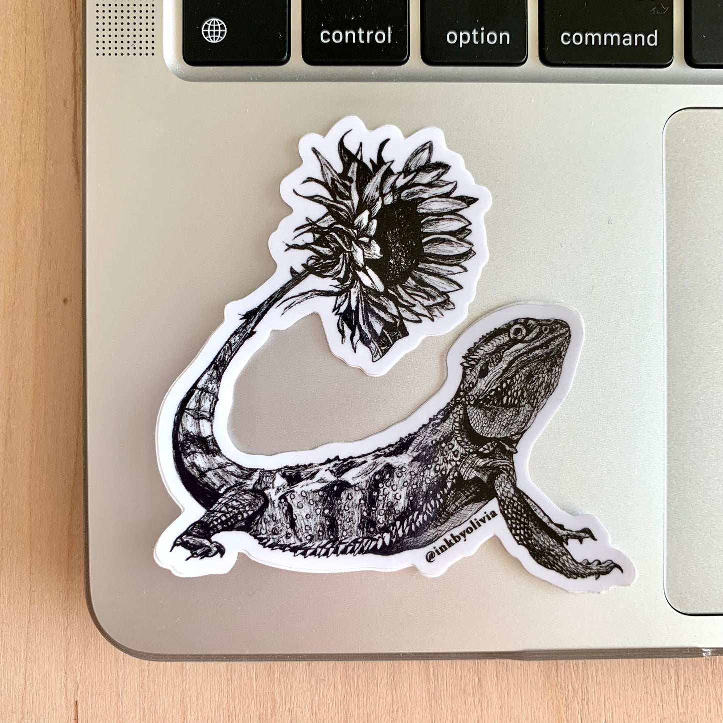 Bearded Dragon Sunshine