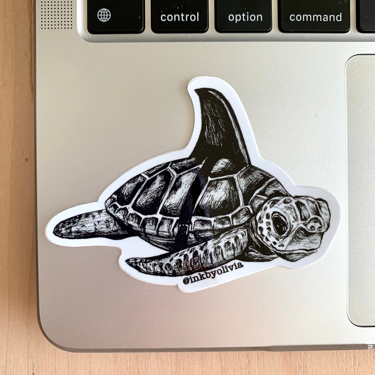 Turtle Shark