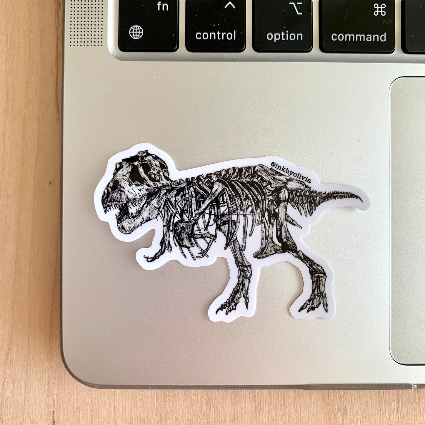 T-Rex Skeleton