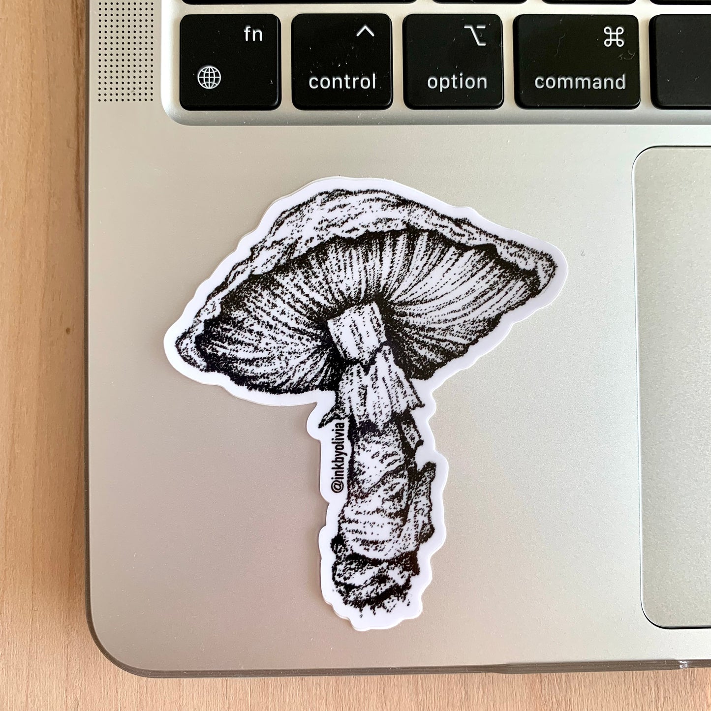 Fungi