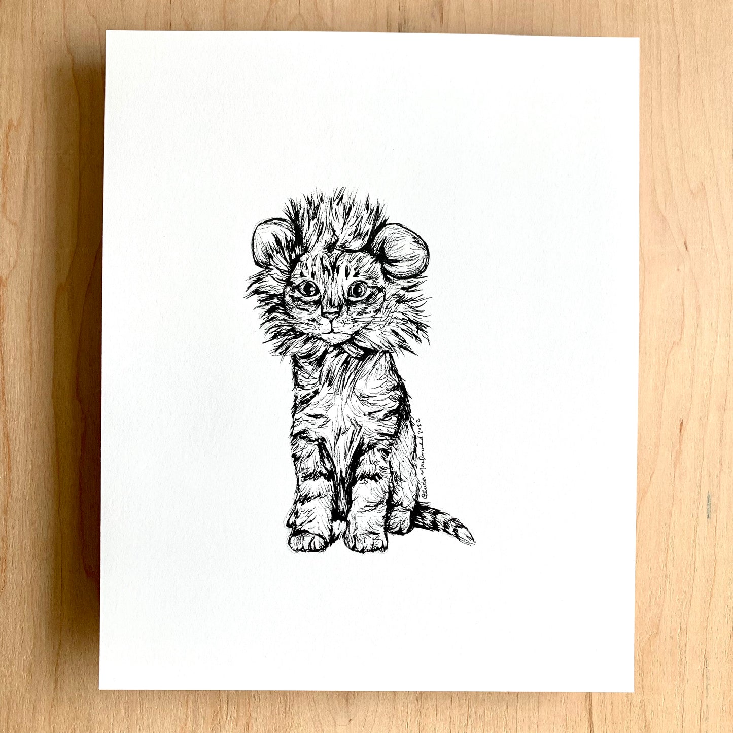 Little Lion