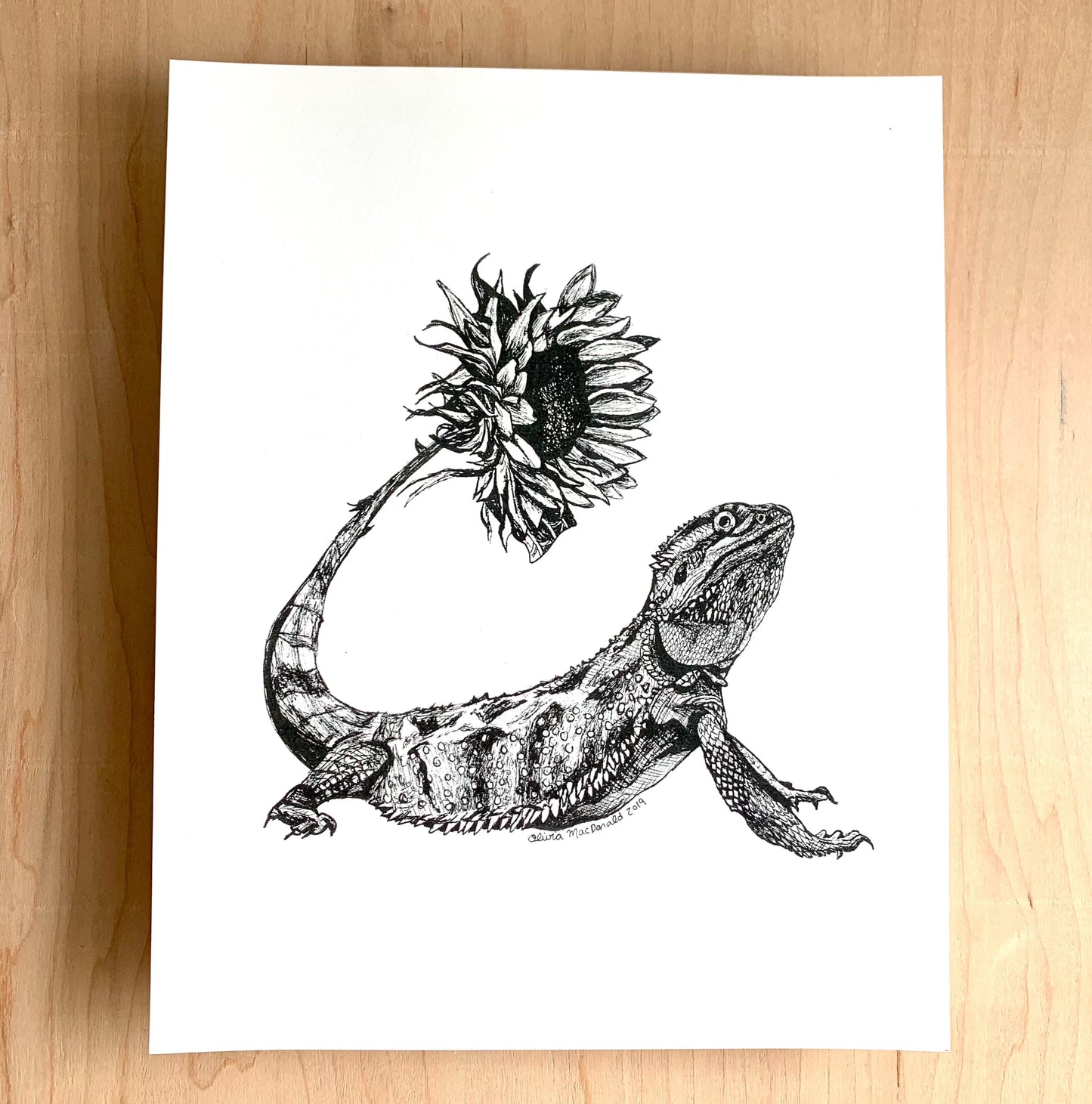 Bearded Dragon Sunshine