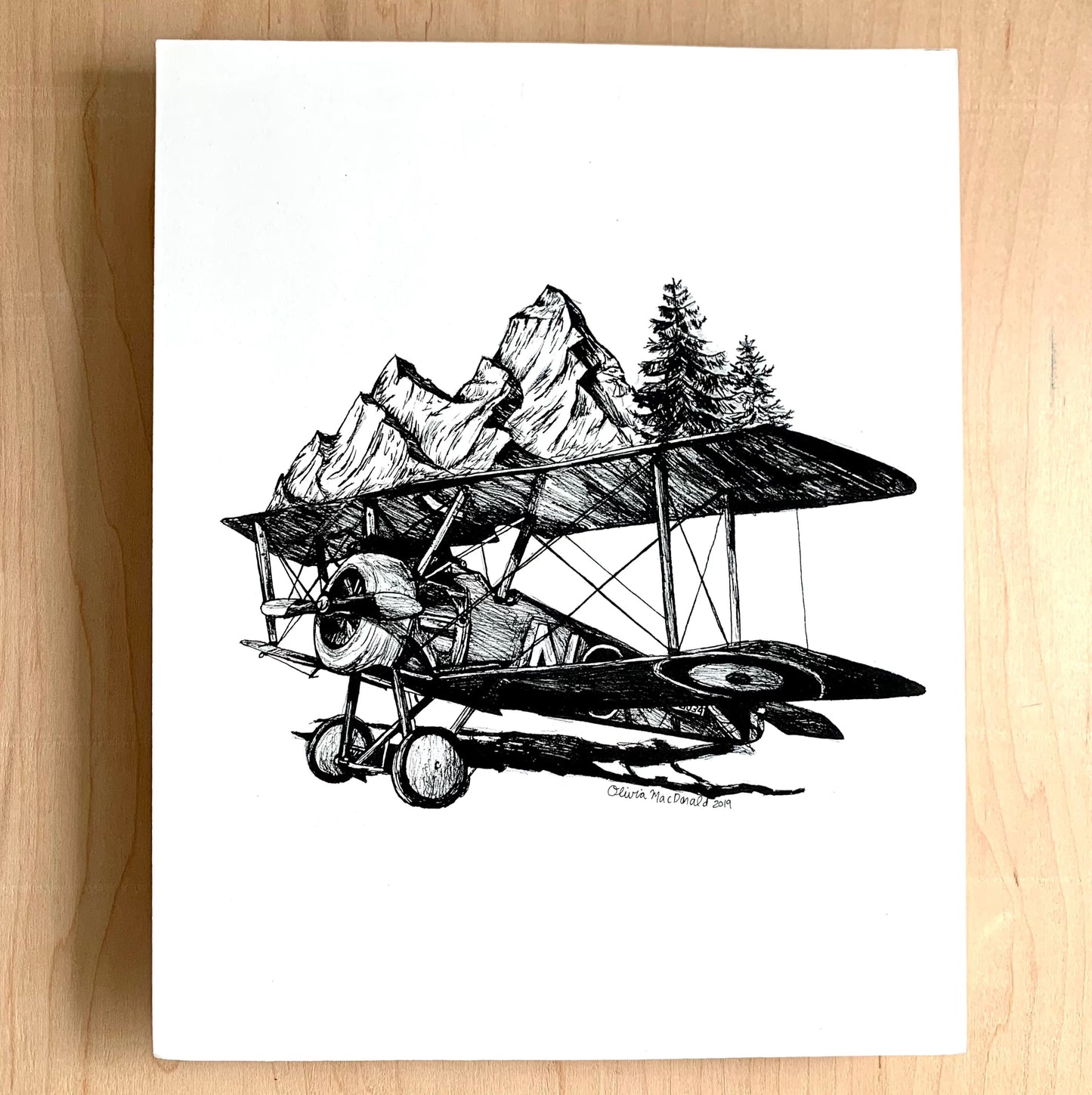 Alpine Biplane