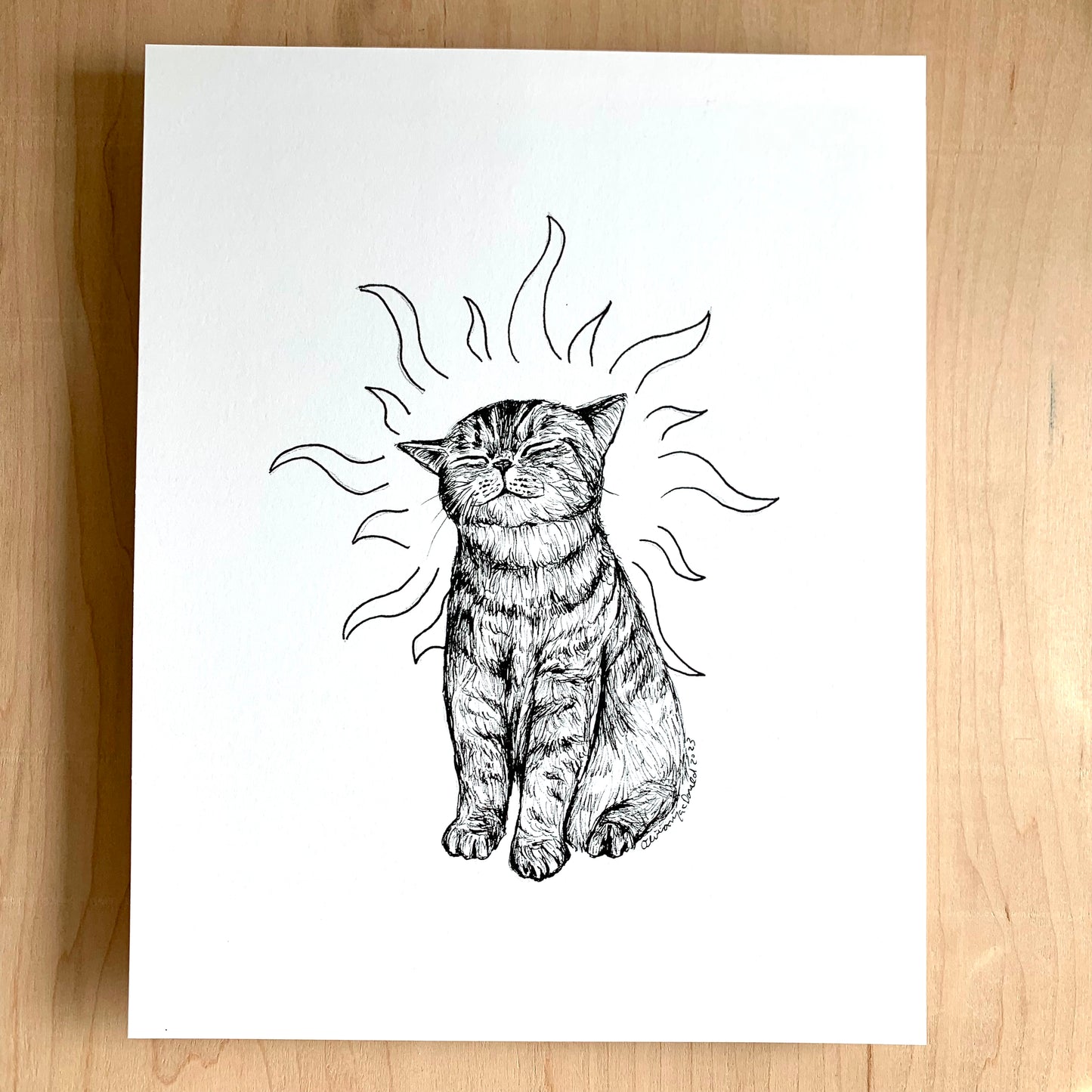 Sunshine Kitty