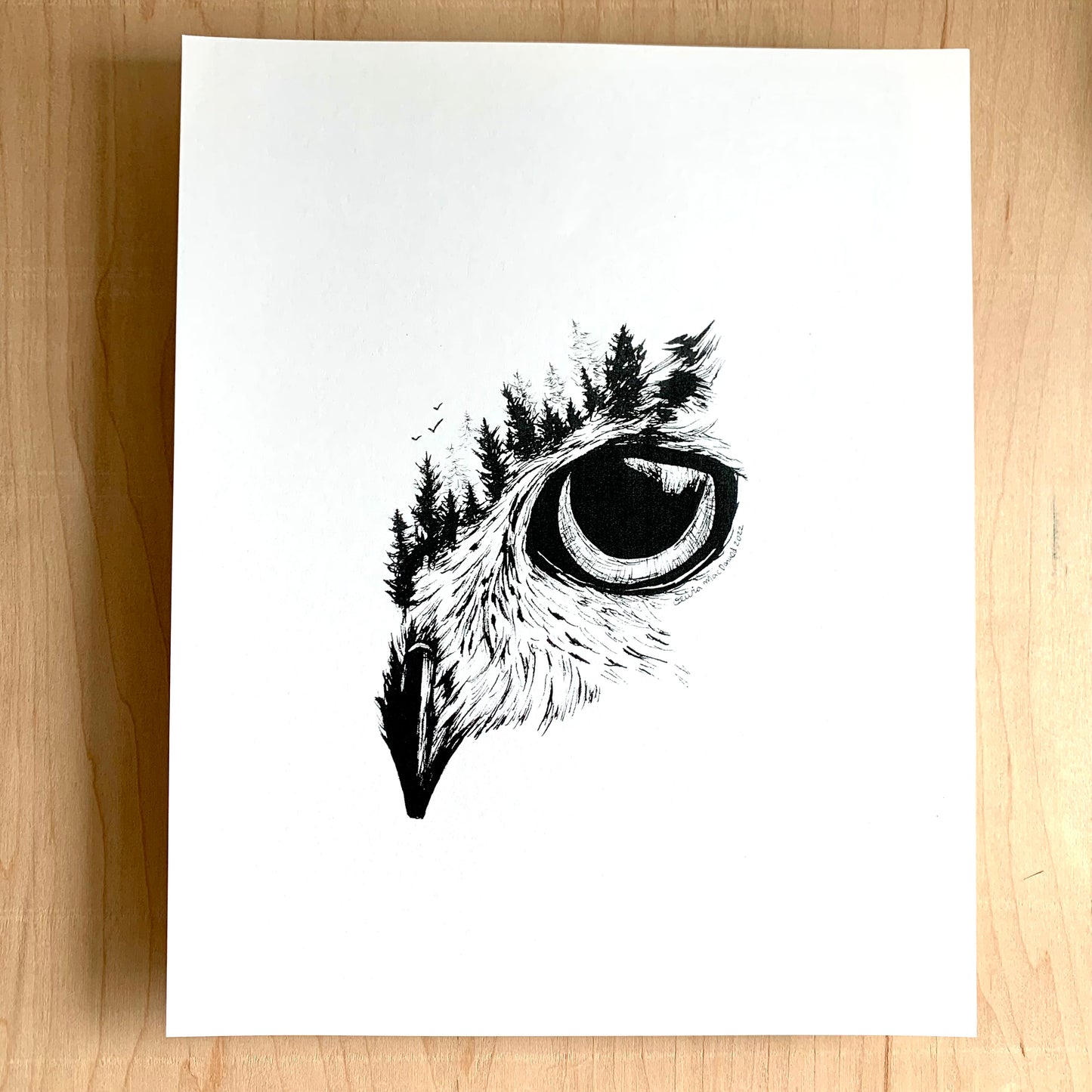 Owl Eye