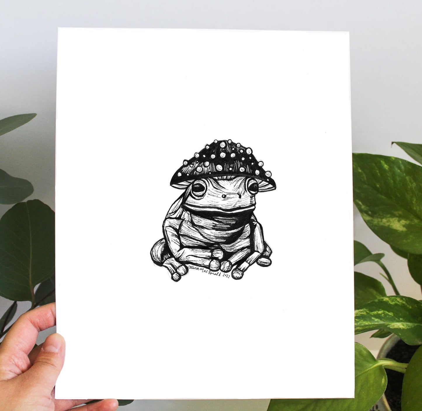 Fungi Frog