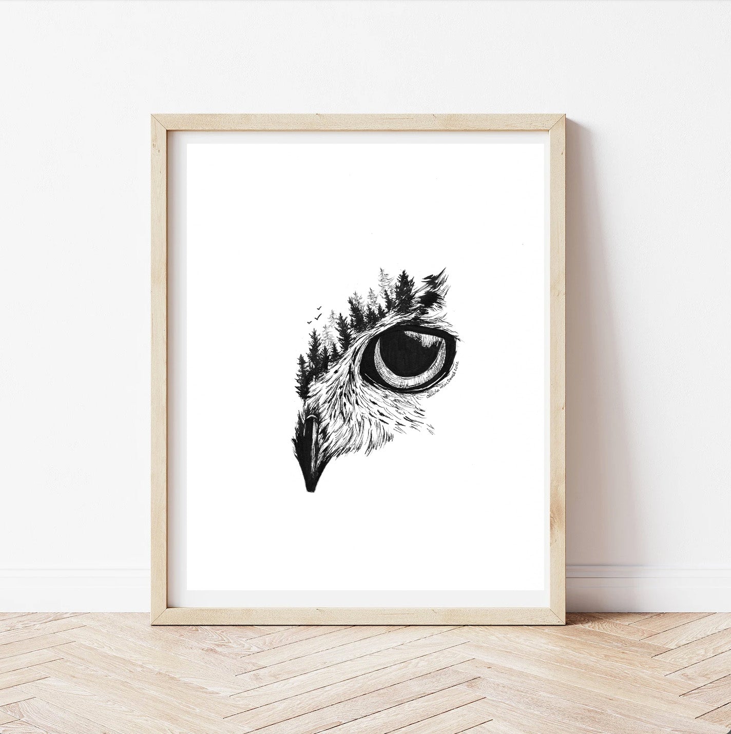 Owl Eye