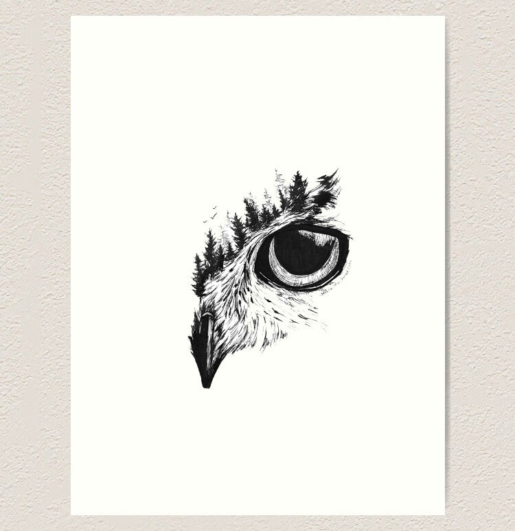 Owl Eye