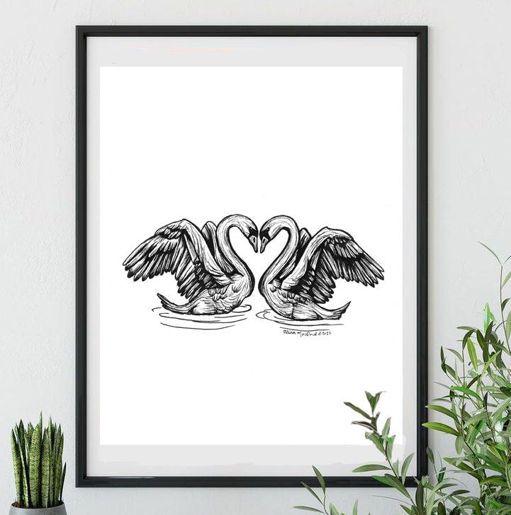 Two Swans