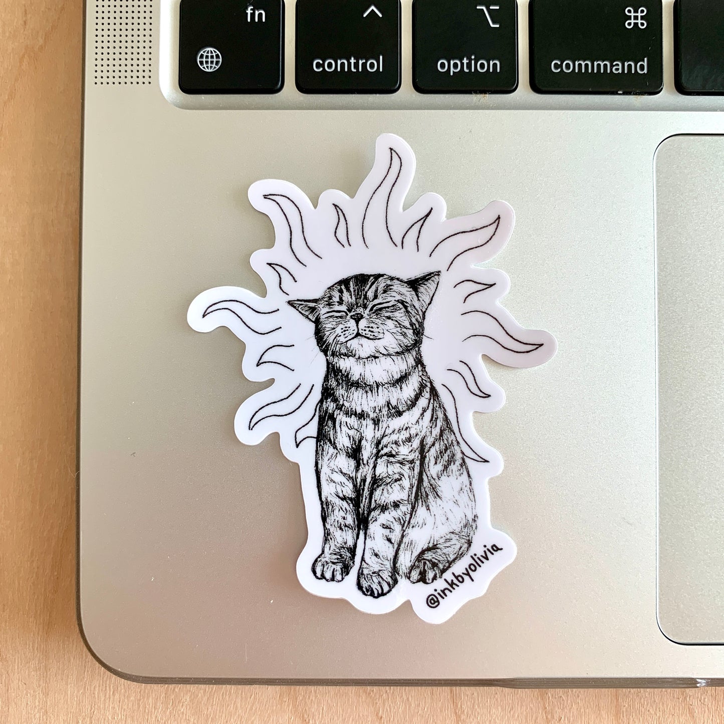 Sunshine Kitty