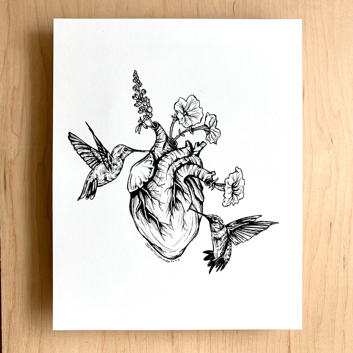 Hummingbird Heart