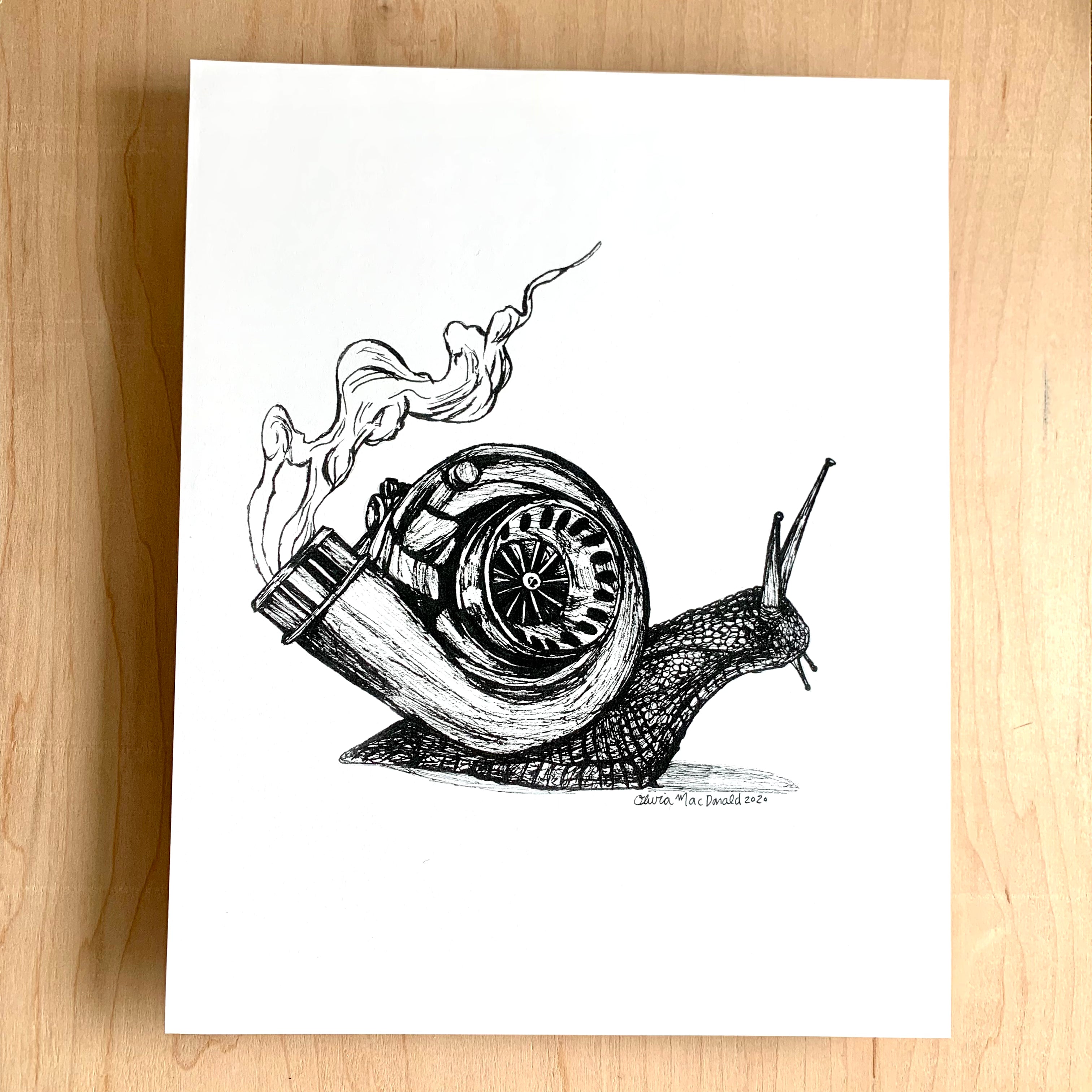Snail Ink Turbo Snail – Ink By Olivia